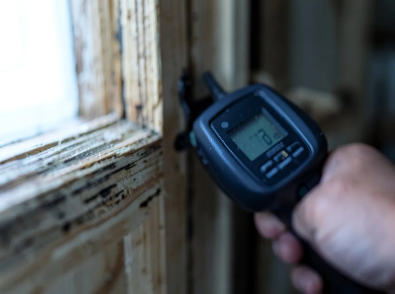 Commercial Water Damage Restoration in Iron, MN